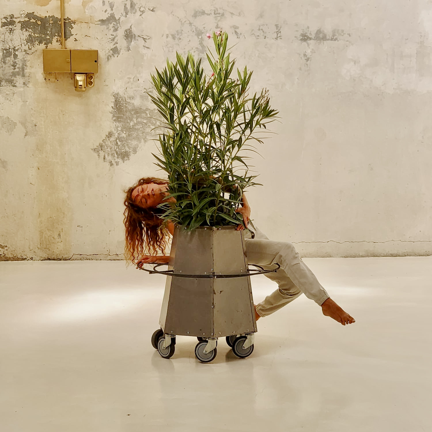 bailando_con_plantas_eva_alonso